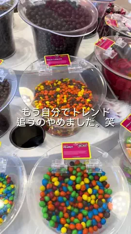 ニルスのTikTok投稿