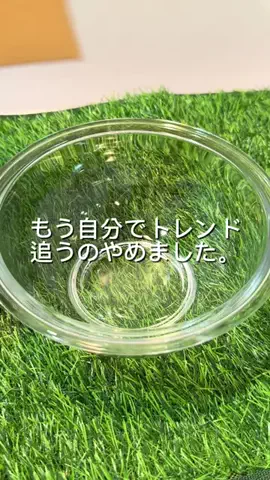 ニルスのTikTok投稿
