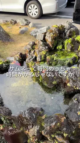ニルスのTikTok投稿