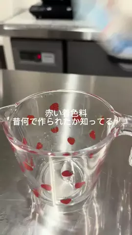 ニルスのTikTok投稿