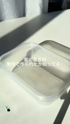 ニルスのTikTok投稿