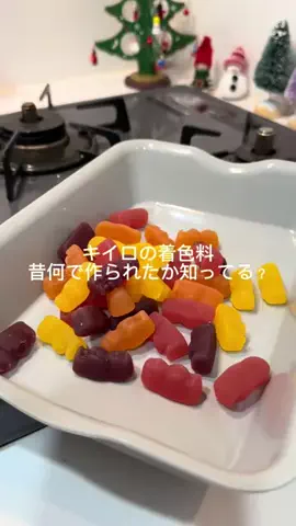 ニルスのTikTok投稿