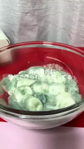 ニルスのTikTok投稿