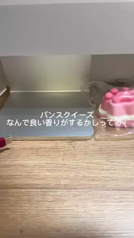 ニルスのTikTok投稿
