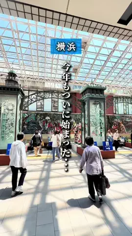 横浜グルメ・神奈川グルメのTikTok投稿