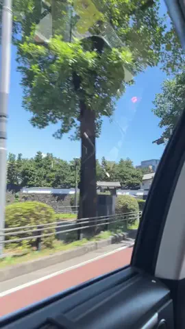 みうのTikTok投稿