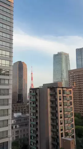 みうのTikTok投稿
