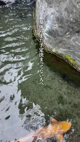 🍙りっぴー✈️のTikTok投稿