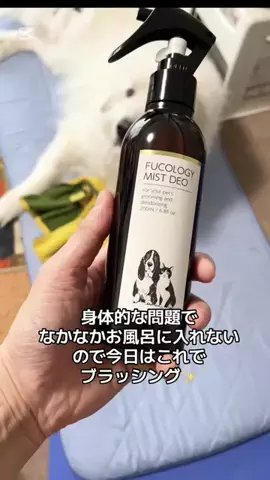 定晴🐶✨（さだちゃん）公式🍀のTikTok投稿