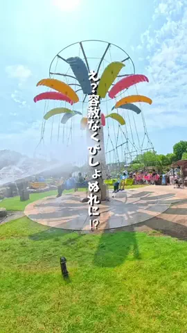ぽんぽんファミリーのTikTok投稿