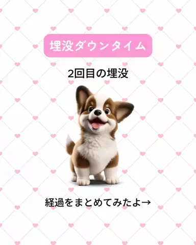 自分磨きちゃんのTikTok投稿