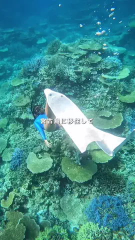 ﾃﾞｭｱﾙ ﾗｲﾌ ｶｯﾌﾟﾙ 宮古島✈️🌺のTikTok投稿