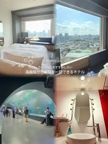 しゃま ✈️ ⁑ travelerのTikTok投稿