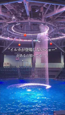 しゃま ✈️ ⁑ travelerのTikTok投稿