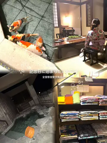 しゃま ✈️ ⁑ travelerのTikTok投稿