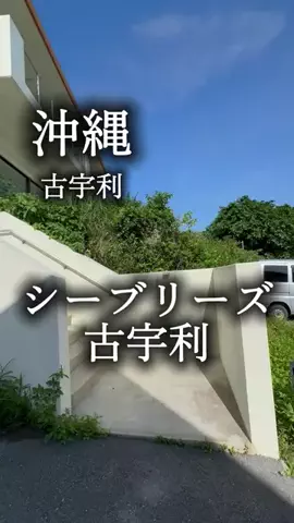 アルコールのひとのTikTok投稿