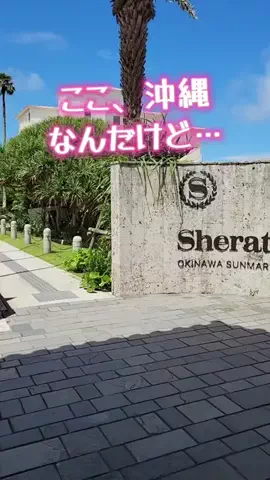 R I O N AのTikTok投稿