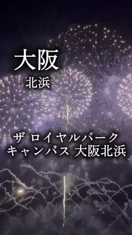 アルコールのひとのTikTok投稿