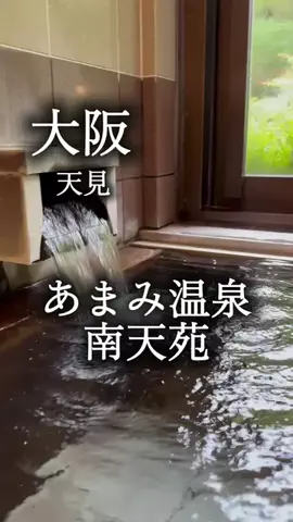 アルコールのひとのTikTok投稿