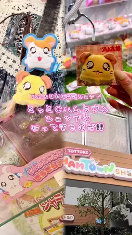 平成を生きるはらだんのTikTok投稿