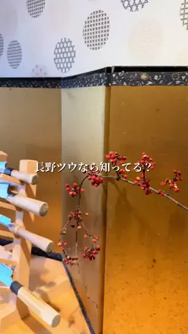 長野グルメ／NAGANO SELECTのTikTok投稿