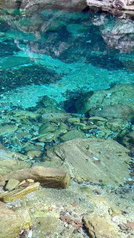旅行大好き女子🐬🤍のTikTok投稿