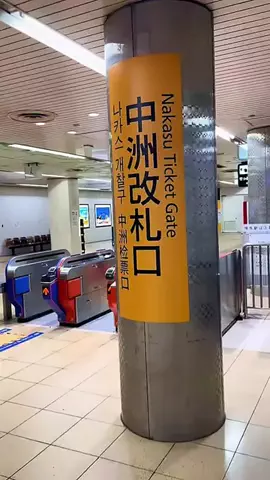 Yasuo Ikarashi PhotographerのTikTok投稿