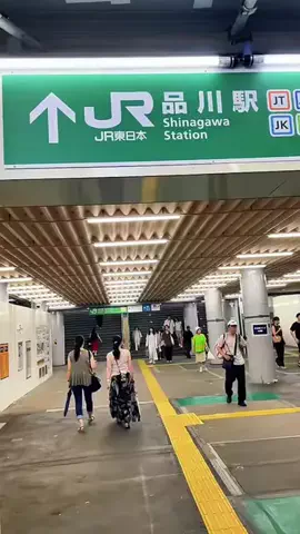 Yasuo Ikarashi PhotographerのTikTok投稿