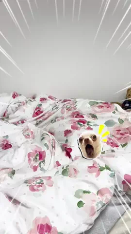 マダム美容✨のTikTok投稿