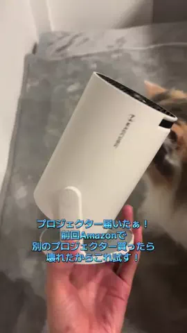 飯塚朱音(しゅおん)のTikTok投稿