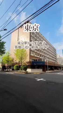 鳩ラムネのTikTok投稿