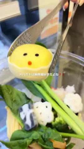 のこのTikTok投稿