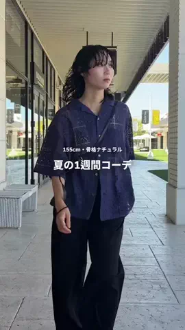 きくのTikTok投稿