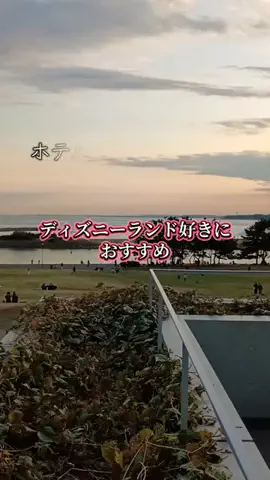 トトのTikTok投稿