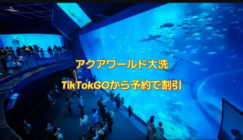 たび先生のTikTok投稿