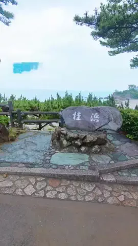ありんこ|そのまま真似できる旅プランのTikTok投稿
