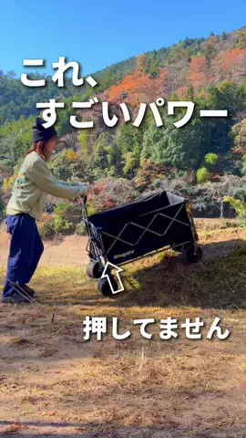 はなはちキャンプ☆のTikTok投稿