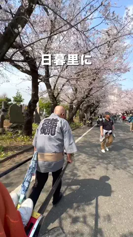 りゅうと iPhoneカメラの講師のTikTok PR投稿：日暮里に人力車が走ってた⛩️ #pr #映えるスポット #浅草…