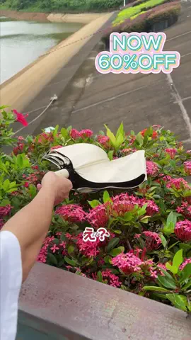 Harmony Dusk LivingのTikTok投稿