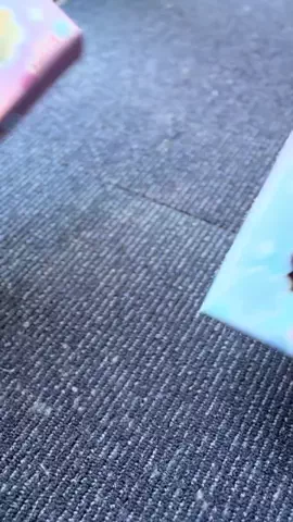 ハルとアキ🐱のTikTok投稿