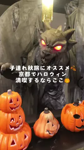 にゃろめさん🐾関西遊びฅのTikTok投稿