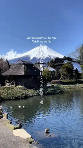 マイタビ / JAPAN TRIPのTikTok投稿