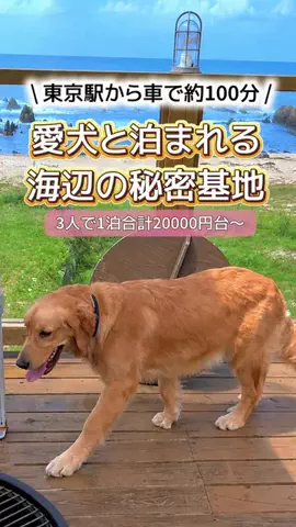 にゃろめさん🐾関西遊びฅのTikTok投稿