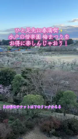 y_urin_aのTikTok投稿