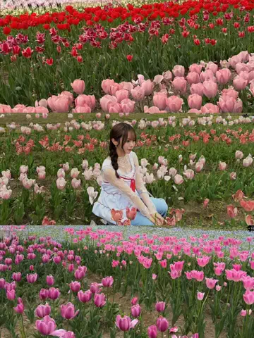Miyu | 関西おでかけのTikTok PR投稿：万博記念公園のチューリップが可愛すぎた🌷✨ @momentplus …