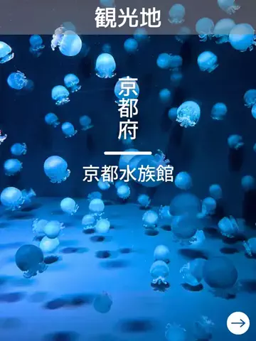 デンじょーの旅のTikTok投稿