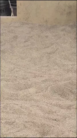 💡グルメ動画の森永あうるのTikTok投稿