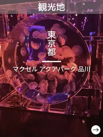 デンじょーの旅のTikTok投稿