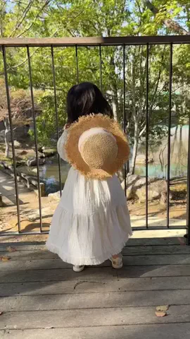 ぽち(4歳)の母のTikTok投稿