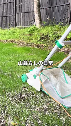 山の民のTikTok投稿